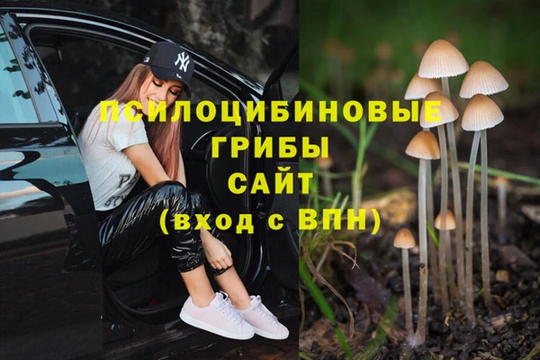 метадон Кукмор